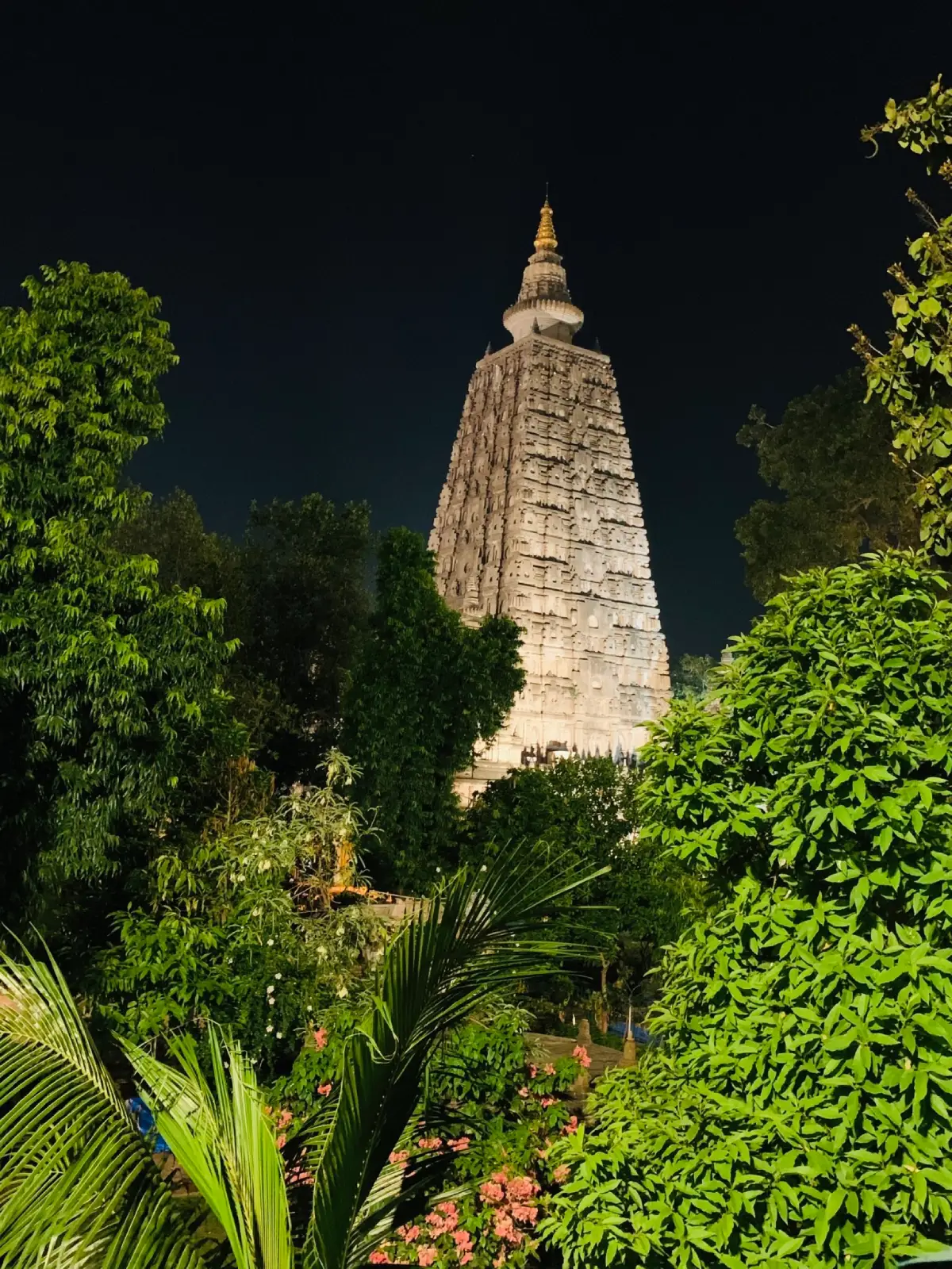 Varanasi - BodhGaya - HÌNH 2