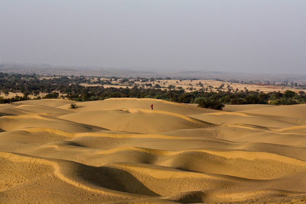 Thar_desert_Rajasthan_India